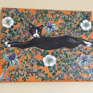 Meet your Posher, Belinda